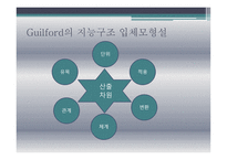 지능의 의미와 지능 이론 및 지능 측정-8