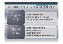 지능의 의미와 지능 이론 및 지능 측정-10