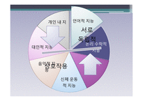 지능의 의미와 지능 이론 및 지능 측정-14