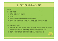 특수교육학개론청각장애아교육과특수교육지원센터-12