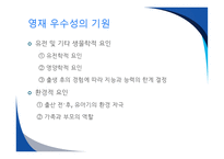 영재교육의 필요성 우수성의 기원 특성교육방법-11