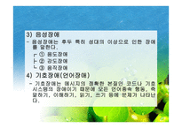아동교육언어장애-4