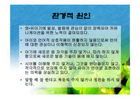 아동교육언어장애-19