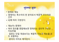 영재 재능아 교육-3