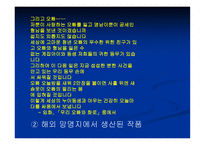 1920~30년대 문학-5
