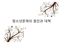 청소년 문제의 원인과 대책 교육사회학2-1