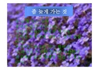 위대한 교육사상가 토마스 아퀴나스-10