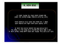 교육의 개념적 기초-13