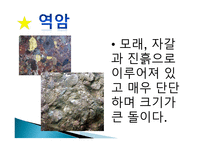 ASSURE모형을 활용한 학습지도 안 돌의 종류 알아보기-10