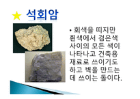 ASSURE모형을 활용한 학습지도 안 돌의 종류 알아보기-15