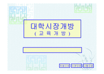 대학시장개방교육개방-1