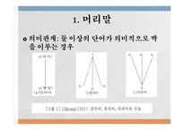 국어의 어휘와 의미론 다의어와 동음어-3