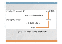 국어의 어휘와 의미론 다의어와 동음어-12