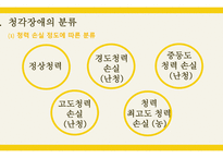 유아특수 교육론 청각장애-4