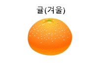 ASSUER학습지도안-10