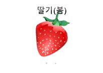 ASSUER학습지도안-11