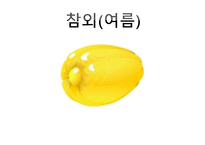 ASSUER학습지도안-12