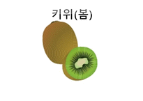 ASSUER학습지도안-14
