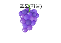 ASSUER학습지도안-15