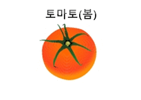 ASSUER학습지도안-16