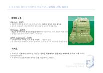 교육심리학 정신분석-5
