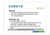 NH농협신용사업 독립에 따른 교육지원과 경제사업의 미래-8