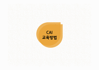 개인주의 평생교육법 코칭과 CAI교육방법-13