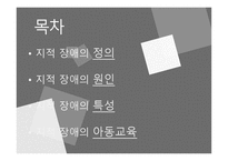 지적장애 정의 원인 특성 아동교육-2
