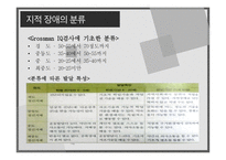 지적장애 정의 원인 특성 아동교육-4