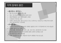 지적장애 정의 원인 특성 아동교육-8