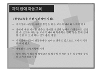 지적장애 정의 원인 특성 아동교육-11