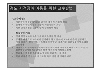 지적장애 정의 원인 특성 아동교육-16