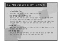 지적장애 정의 원인 특성 아동교육-17