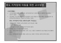 지적장애 정의 원인 특성 아동교육-19