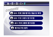 교수 프로그램의 평가-2