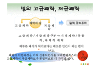밀의 공리주의 레포트-7