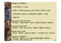 서양 교육제도 독일 프랑스 영국 미국-4