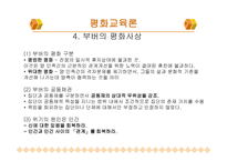 부버 의사회 교육론과 평화 교육론-11