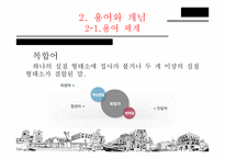 국어 복합어의 연구-4