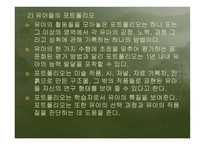 프로젝트 스펙트럼을 적용한 유아 언어평가 리포트-18