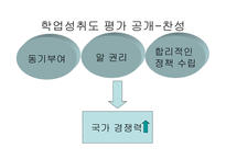 학업성취도 평가 공개의 의미와 문제점-13