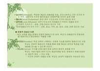 교육과정의 사회적 성격과 이론-12