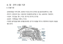 의사소통장애교육-9