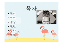 교사의 탈모 레포트-2