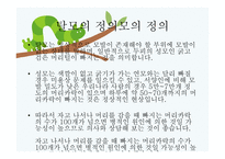 교사의 탈모 레포트-3
