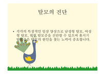 교사의 탈모 레포트-6