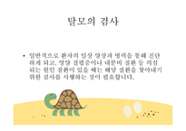 교사의 탈모 레포트-7