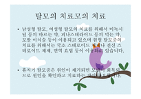 교사의 탈모 레포트-8