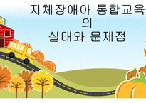 지체장애아 통합교육의 실태와 문제점-1