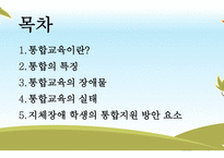 지체장애아 통합교육의 실태와 문제점-2